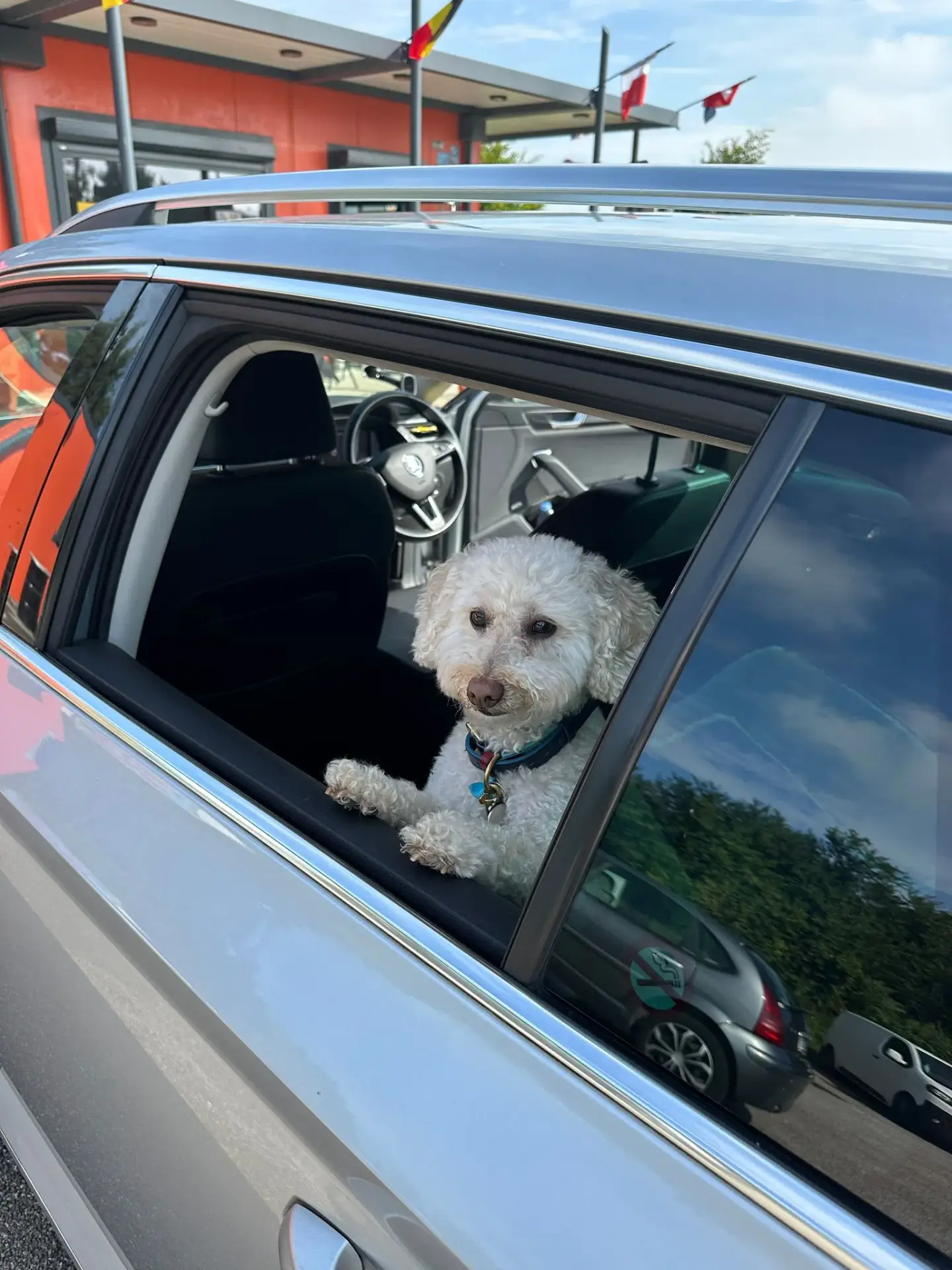 Amsterdam to London with pets