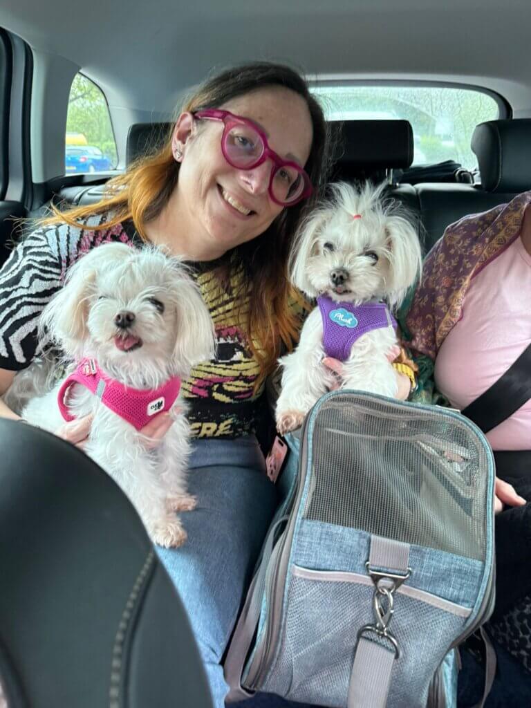Pet Taxi Paris Orly London
