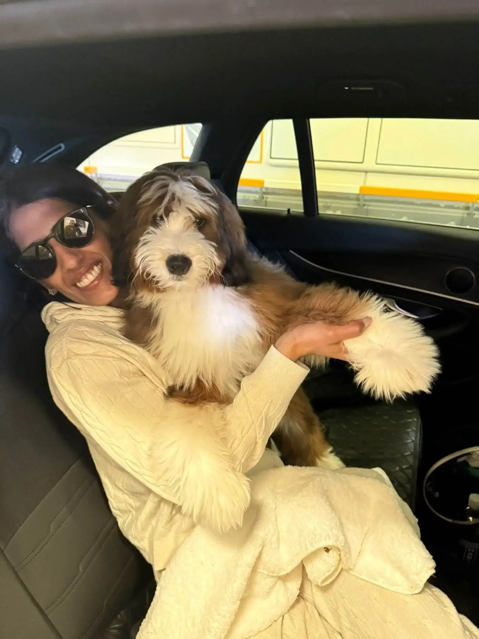 Paris to London with dog Luna