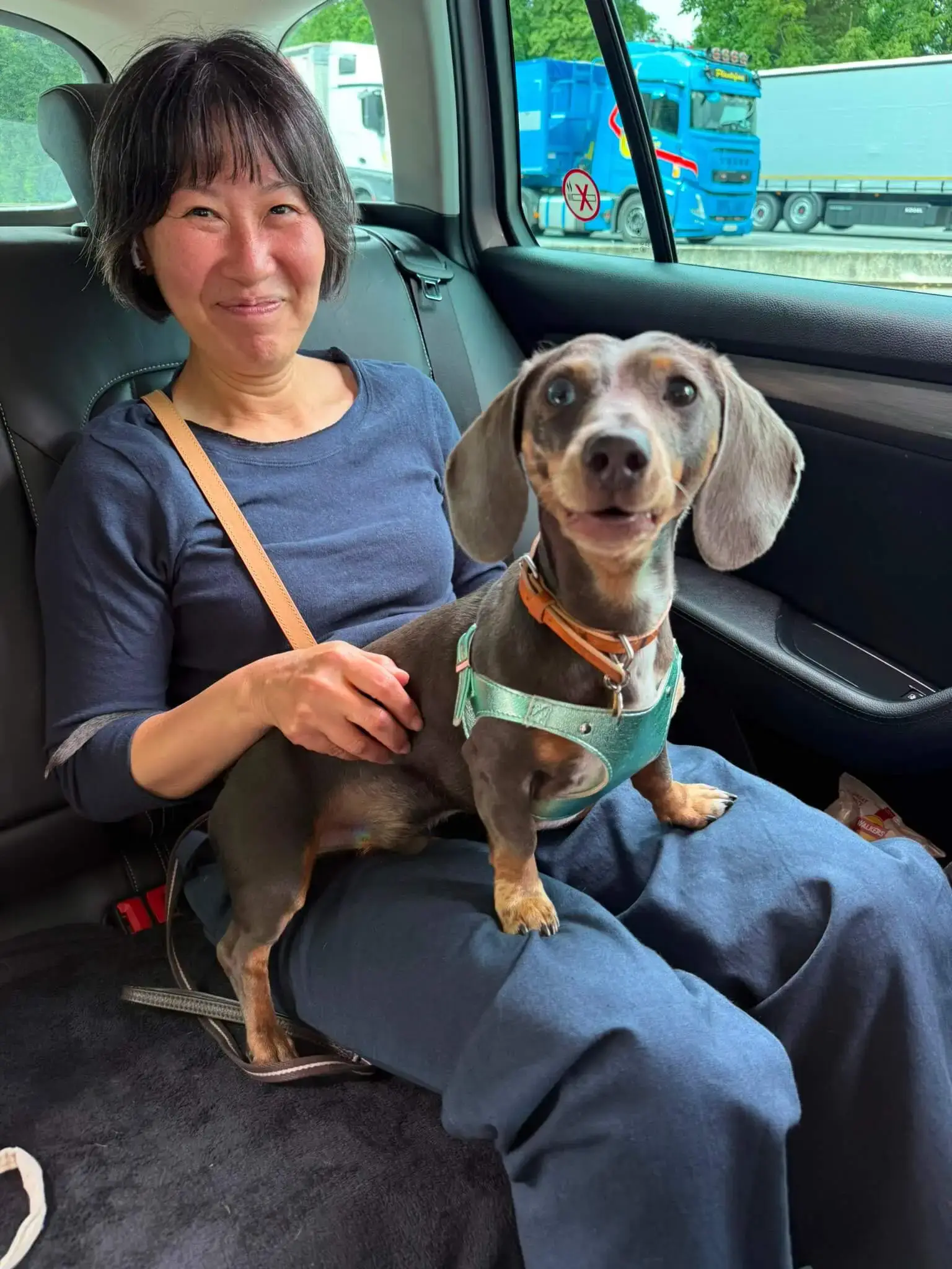 Private Pet Taxi from Paris to Leatherhead Bongo’s Journey