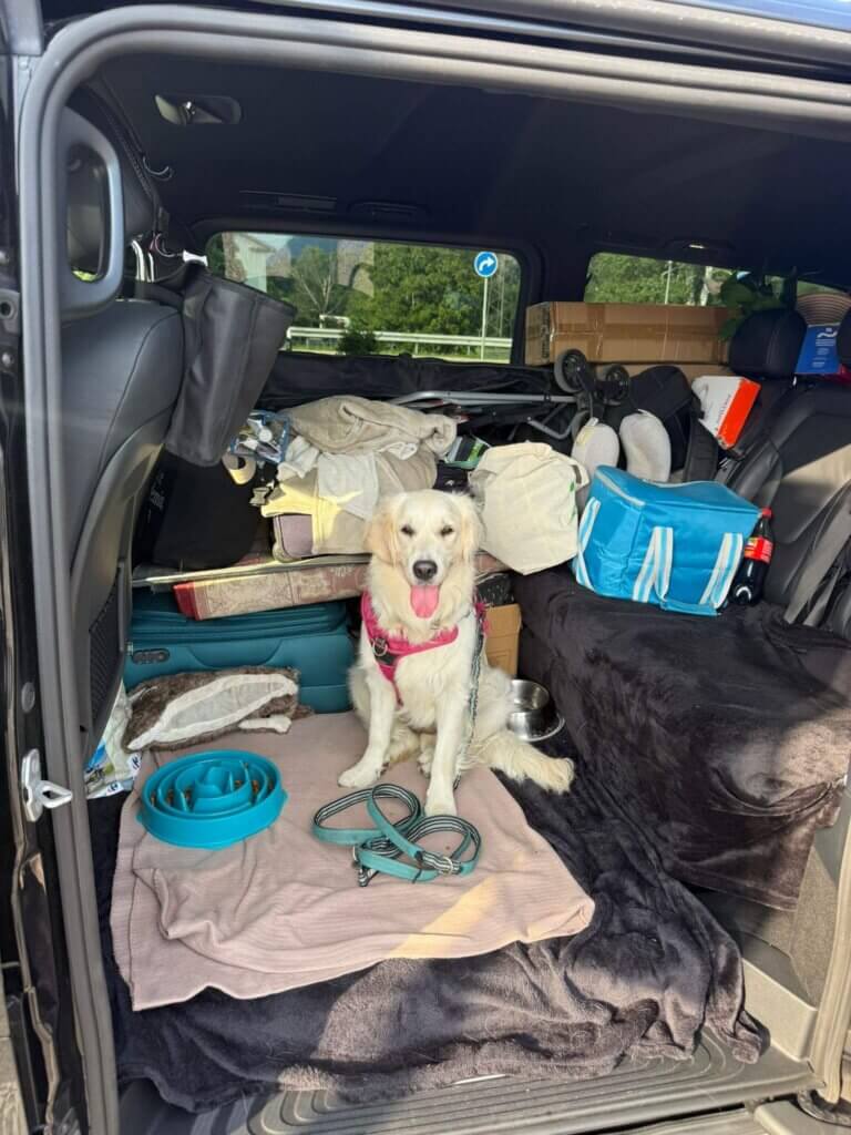 Pet Taxi Italy UK