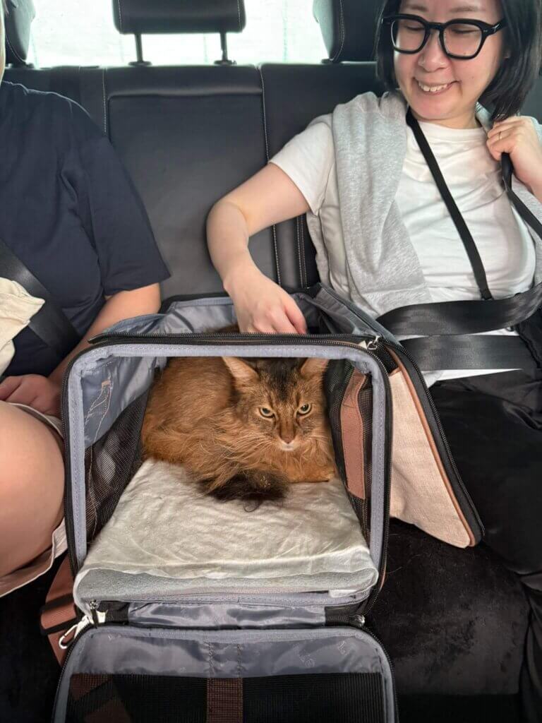 Tokyo Paris with Dog